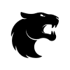 FURIA ESPORTS