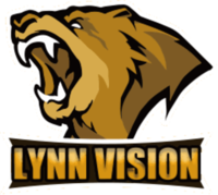 LYNN VISION GAMING
