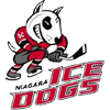 Ниагара Айс Догс